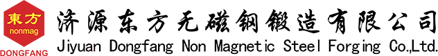 Jiyuan Dongfang Non Magnetic Steel Forging Co., Ltd.